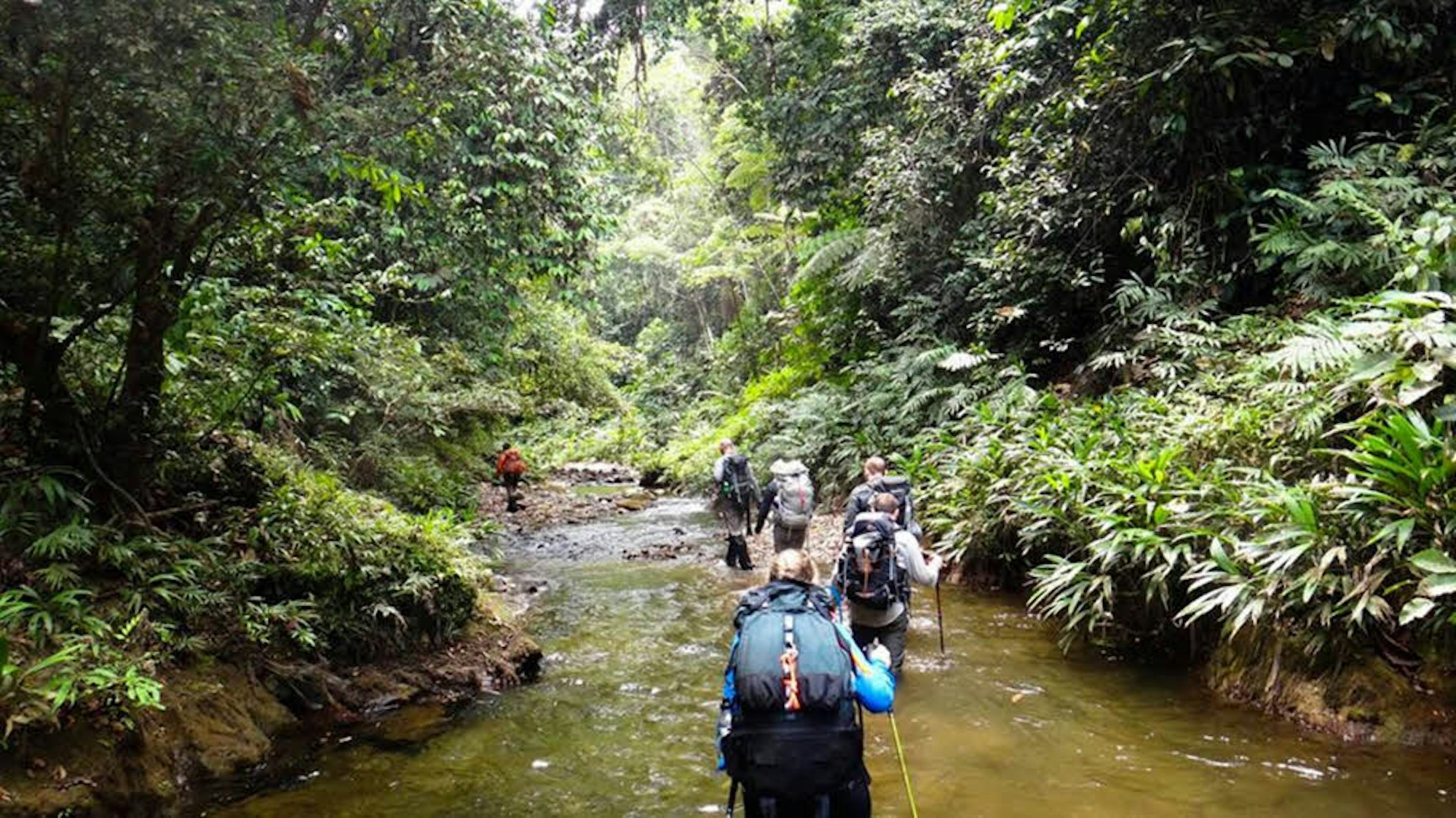 Mühsam geht es zu Fuß durch den Urwald Panamas