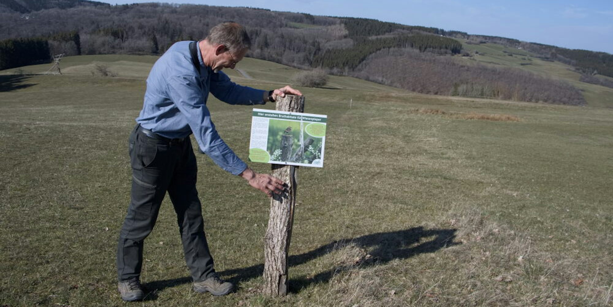 Schilder zum Schutz des Wiesenpiepers stellt Jan-Roeland Vos, Ornithologe der Biologischen Station, im Ländchen auf. Bestimmte Wegstreifen auf den Wiesen bleiben ungemäht und sollen möglichst nicht betreten werden.