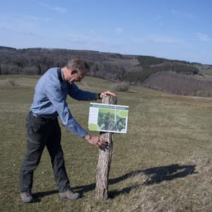 Schilder zum Schutz des Wiesenpiepers stellt Jan-Roeland Vos, Ornithologe der Biologischen Station, im Ländchen auf. Bestimmte Wegstreifen auf den Wiesen bleiben ungemäht und sollen möglichst nicht betreten werden.