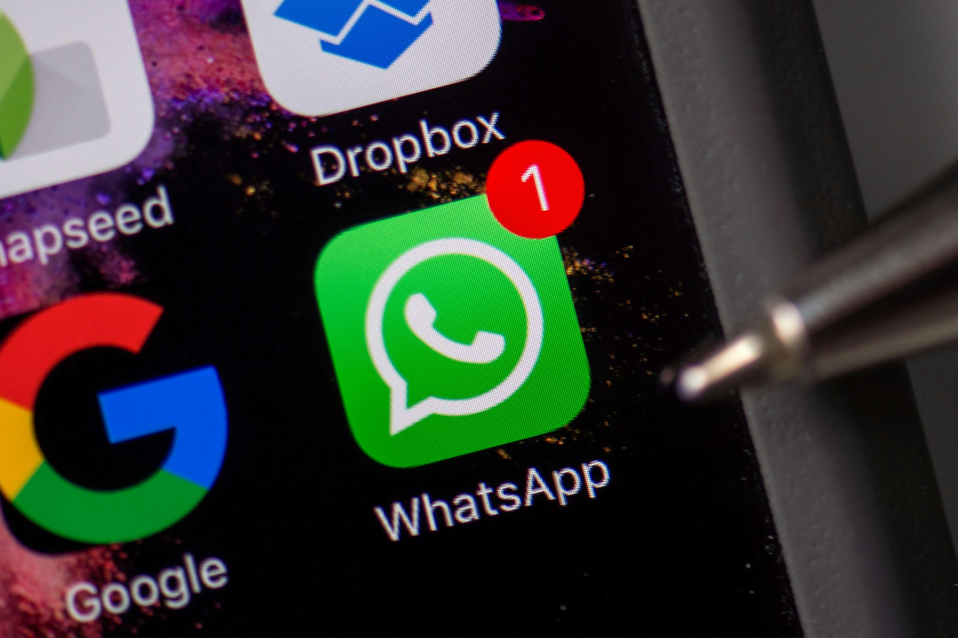 Freunde sichtbar status whatsapp nicht WhatsApp: Mit