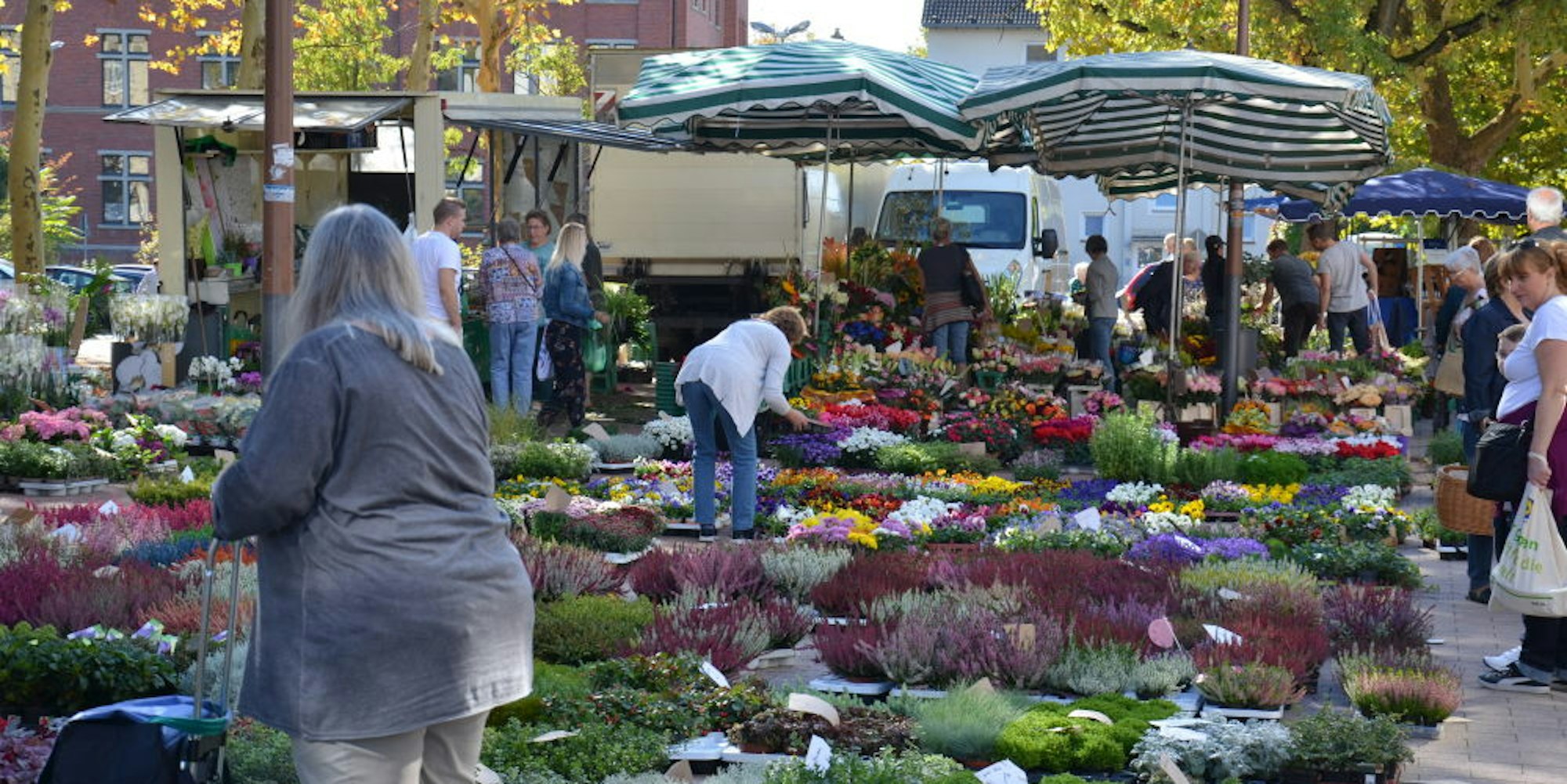 Der Stand des Blumenhändlers Kolvenbach zählte zu den farbenprächtigsten auf dem Brühler Wochenmarkt.