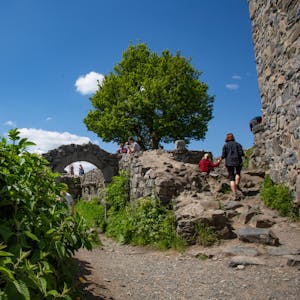 Burgen Bild 1_Burgen_im_Siebengebirge_mit_Menschen