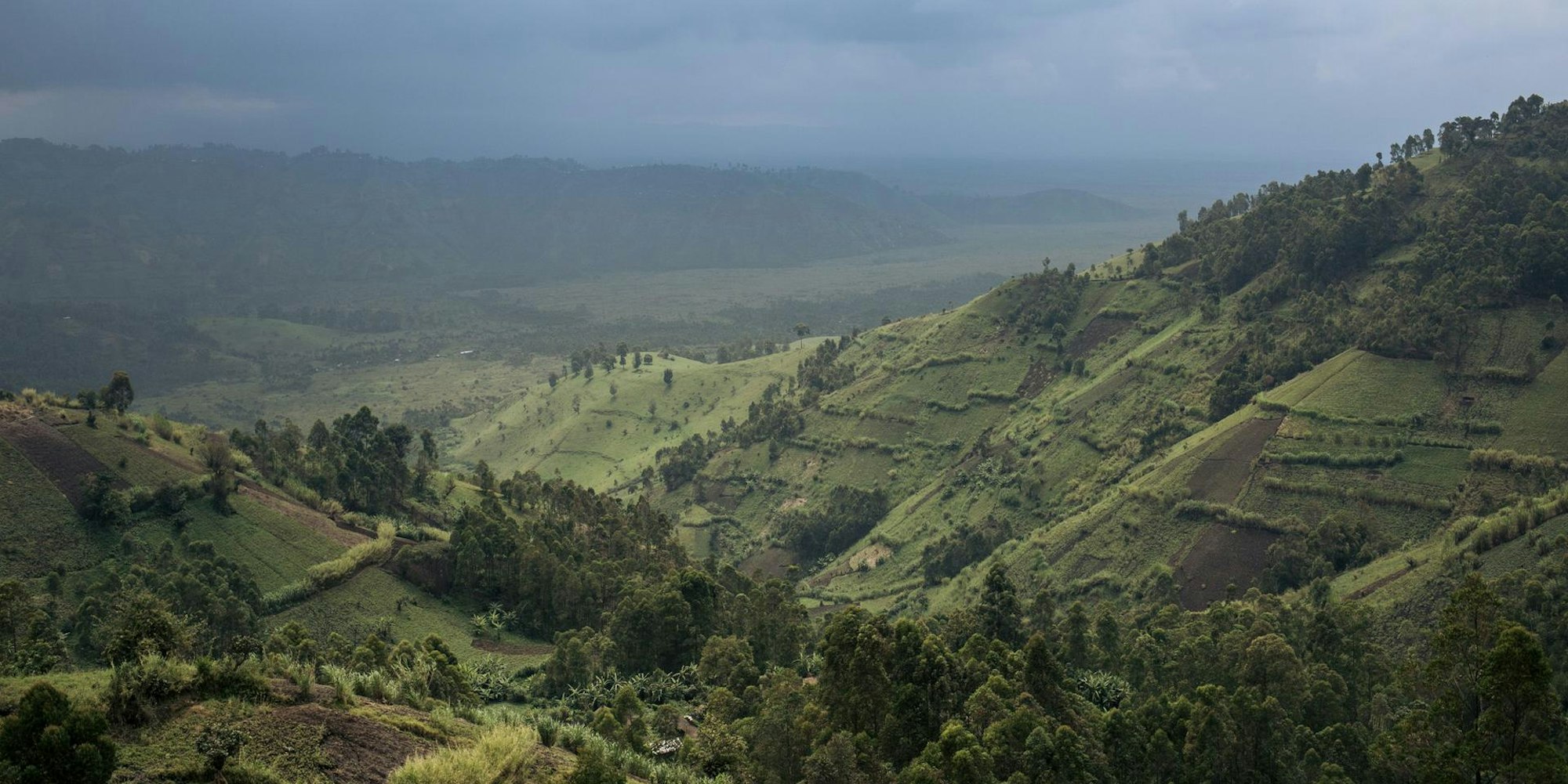 Kongo Nationalpark