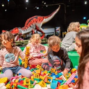 Lego-Dinosaurier anschauen und bauen: Am Donnerstag hat die neue Ausstellung im Odysseum eröffnet.
