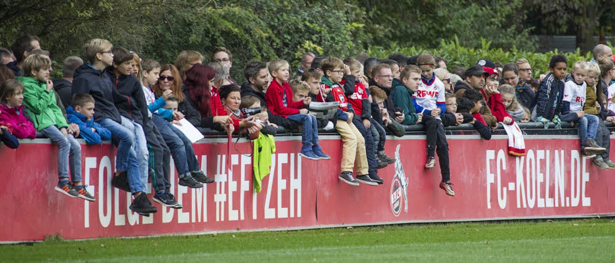 Der 1. FC Köln will sein Trainingsgelände am Geißbockheim um drei Sportplätze erweitern.