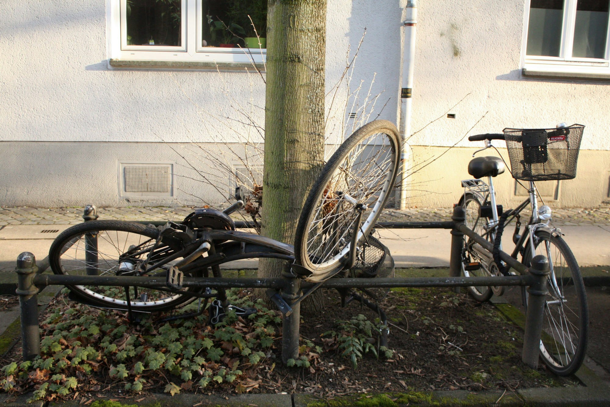Fahrräder in den Beeten selbst sind keine Seltenheit. Fotos: Oldenburg
