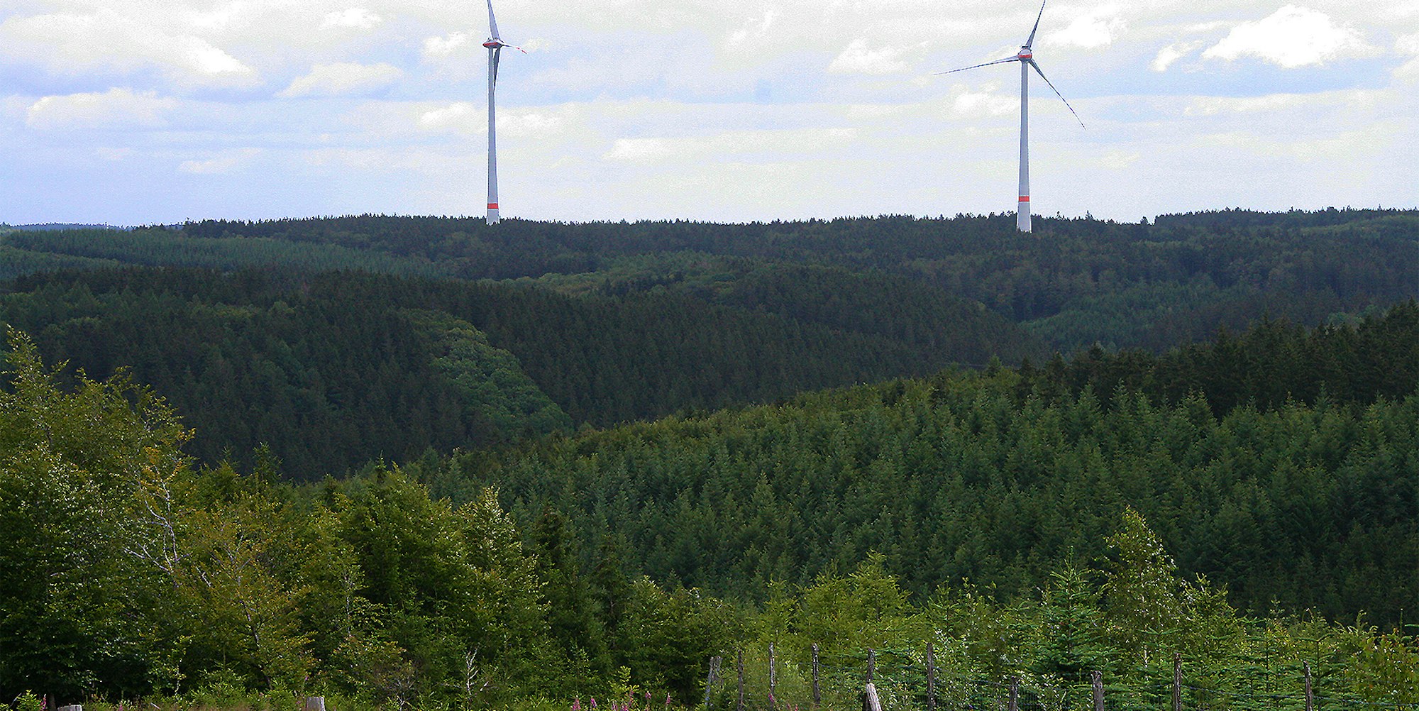Windpark Dahlem IV und V_002
