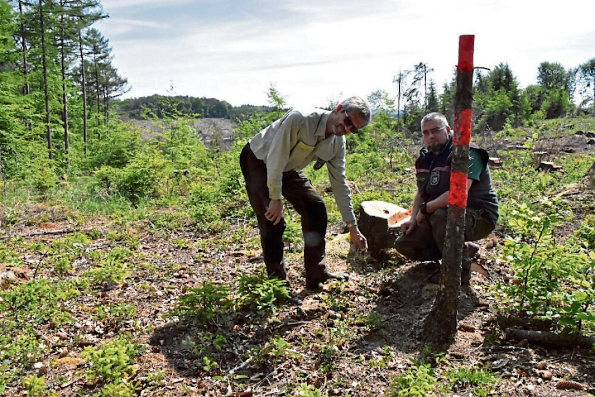 Erst in 30 Jahren werden wieder Wälder auf den Höhen der Nutscheid entstanden sein, wissen. Uwe Schölmerich, der Chef des Regionalforstamtes, und Revierförster Volker Koch.