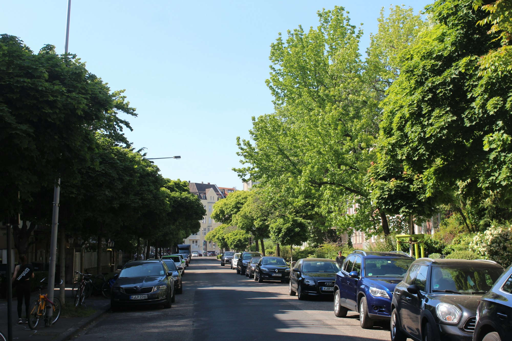 Die Worringer Straße präsentiert sich derzeit als Allee mit üppigem Grün. Die Anwohner hoffen, dass dies auch so bleibt.