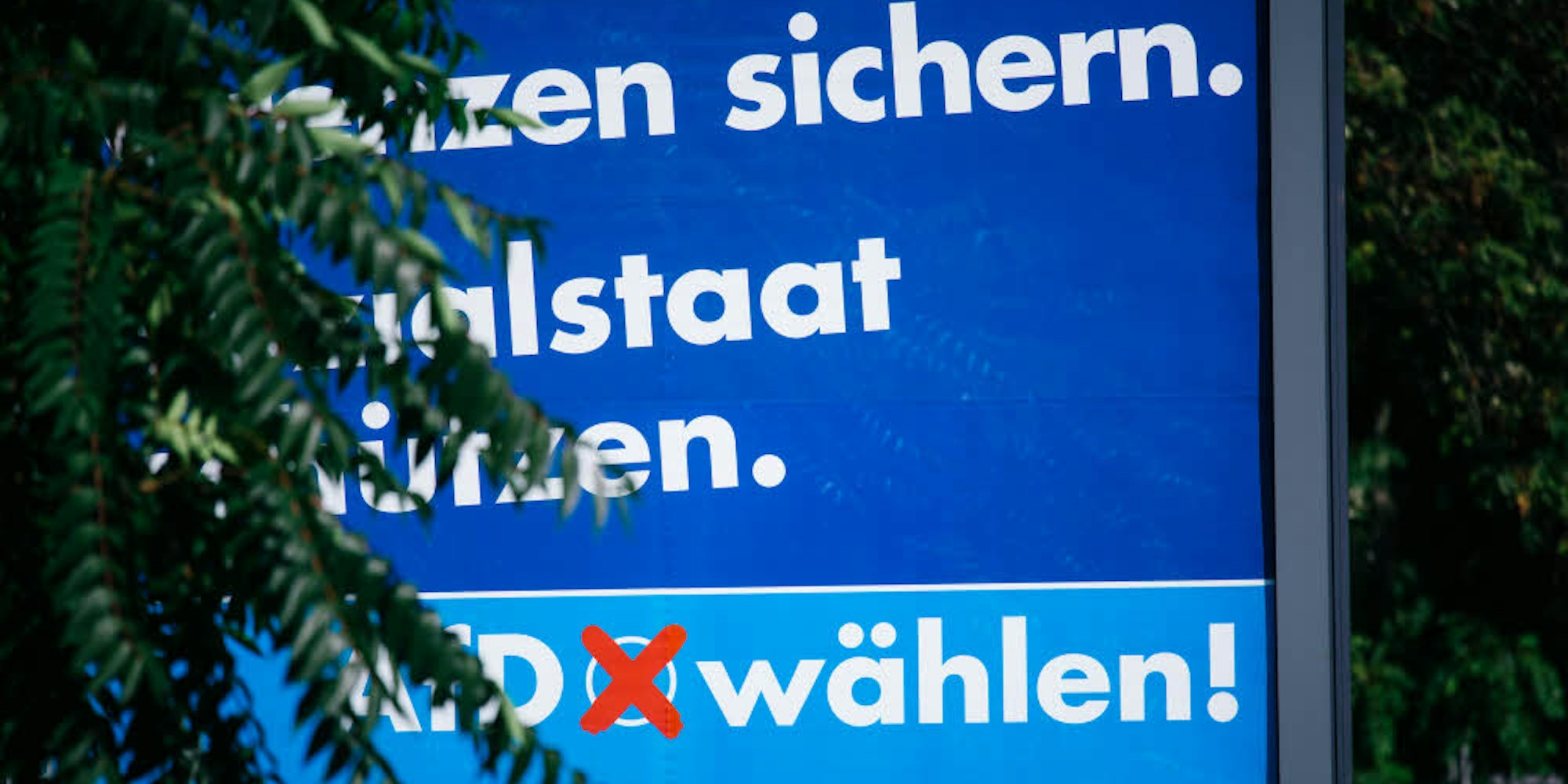 Steht vor dem erstmaligen Einzug in den deutschen Bundestag: die Alternative für Deutschland, das Bild zeigt ein Wahlplakat der Partei.