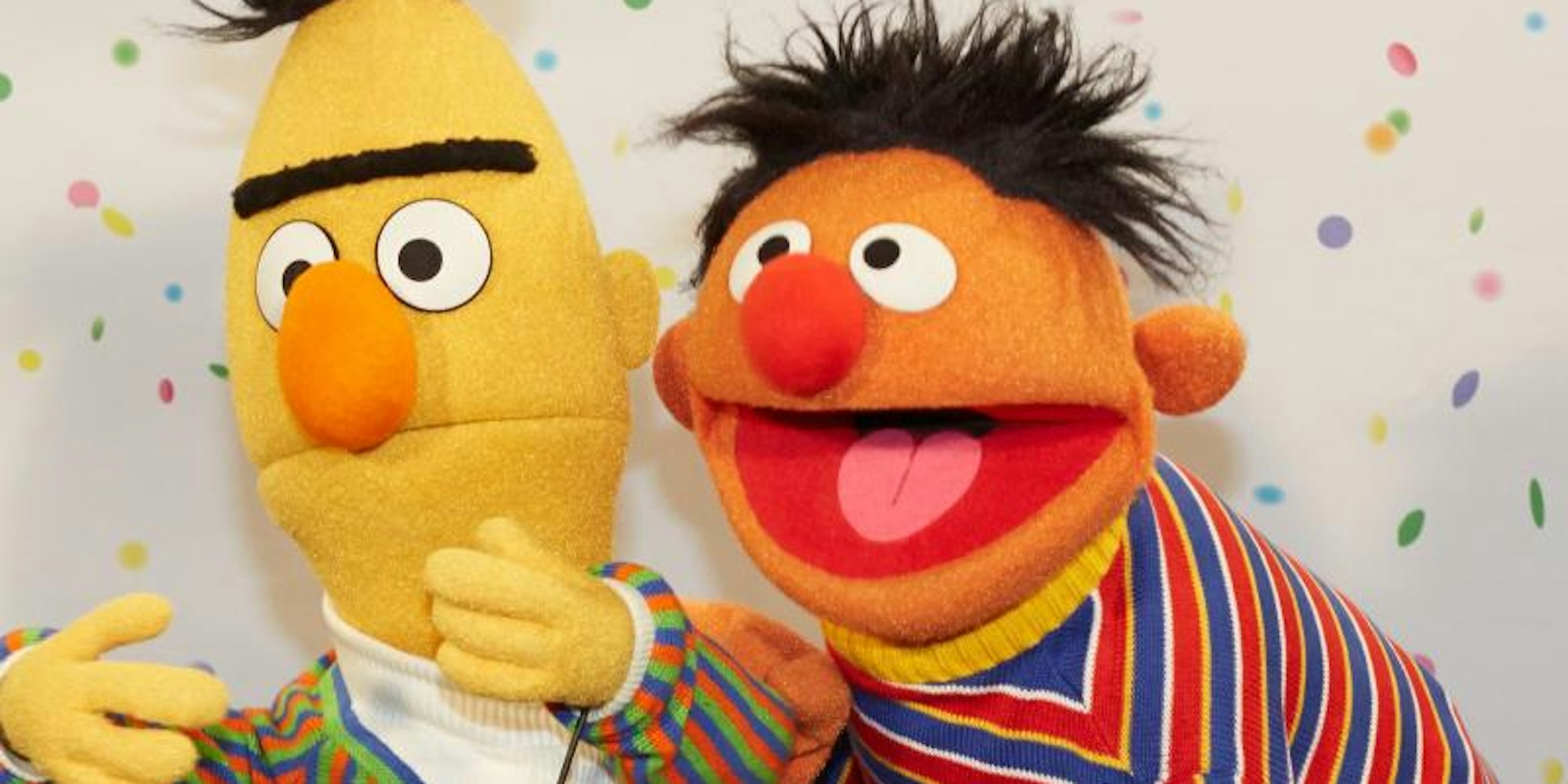 Die beiden Figuren Ernie (r) und Bert posieren bei einem NDR-Pressetermin.