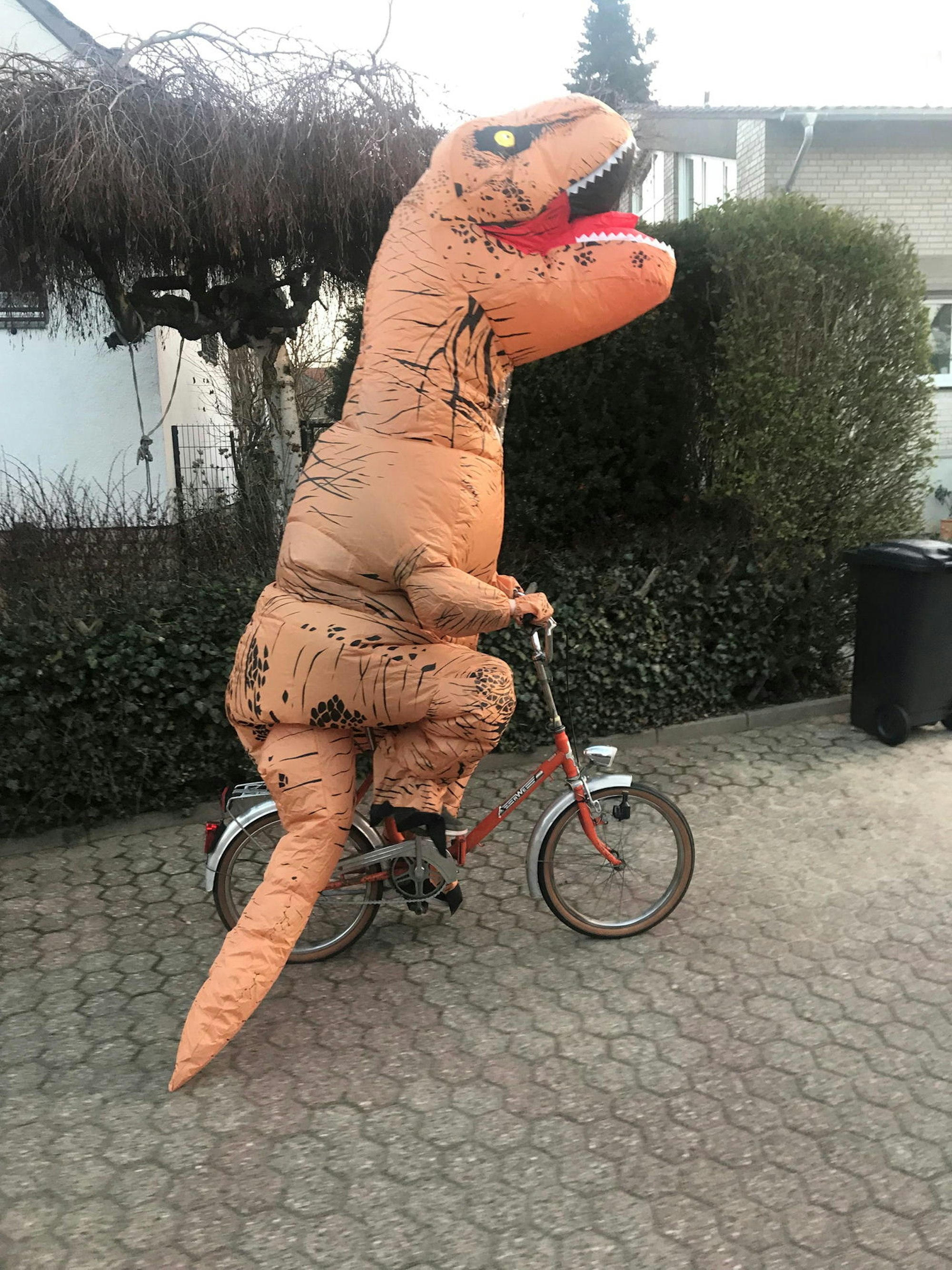 Ein jecker Dino unterwegs im Stadtteil Weiß.