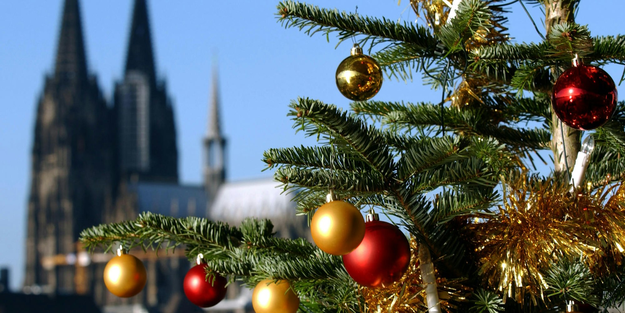 Ein Weihnachtsbaum vor dem Kölner Dom