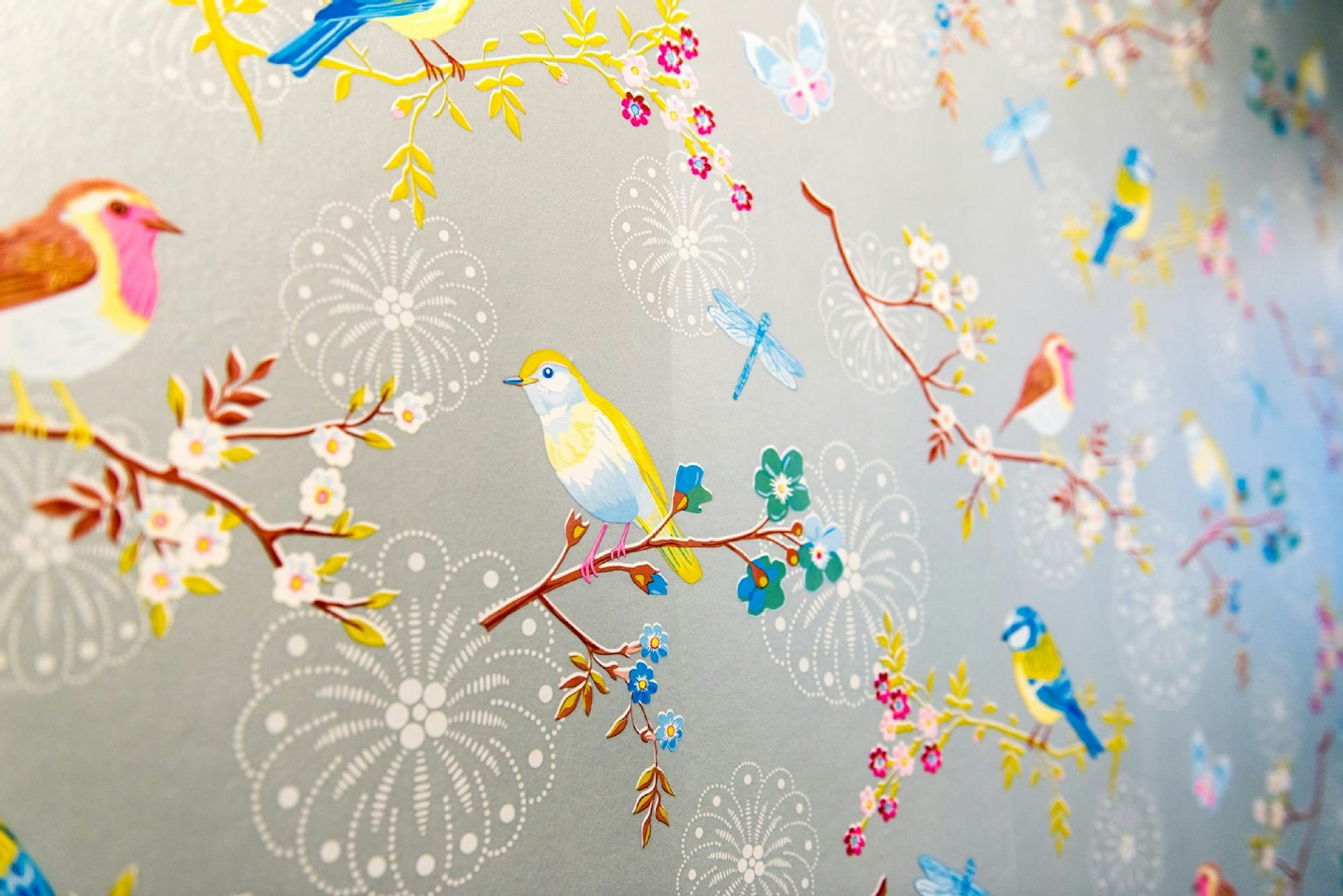 Vogelmotive kehren auf Tapete und Porzellan immer wieder.