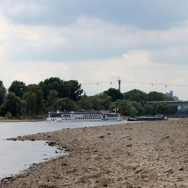 Niedrigwasser Rhein