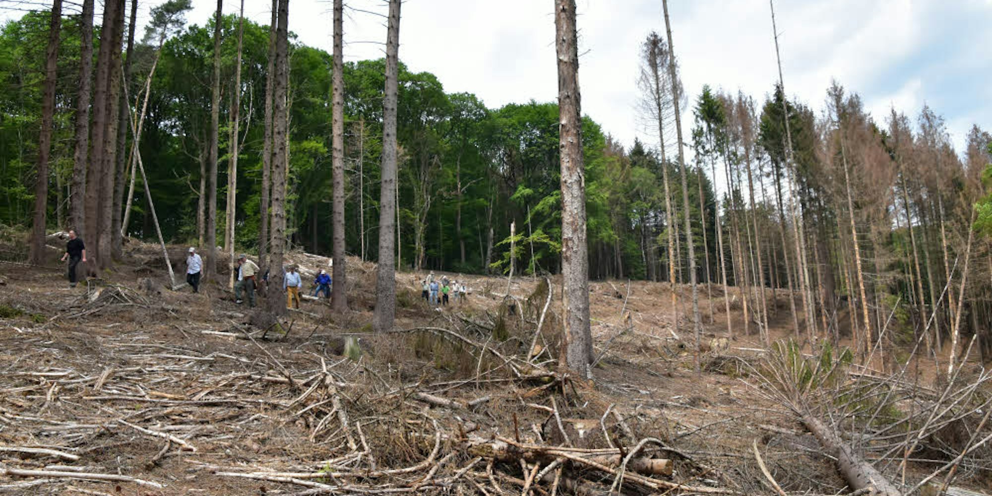 Vor einem Jahr noch grüner Wald: Das Stück bei Oberhalberg treibt Waldbesitzern Tränen in die Augen.