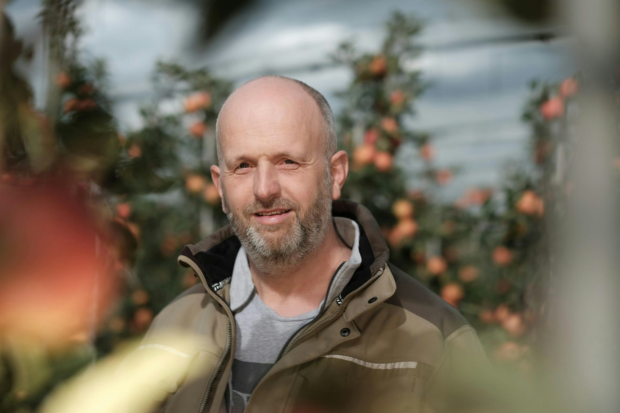 Apfelbauer Roland Schmitz-Hübsch in seiner Apfelplantage
