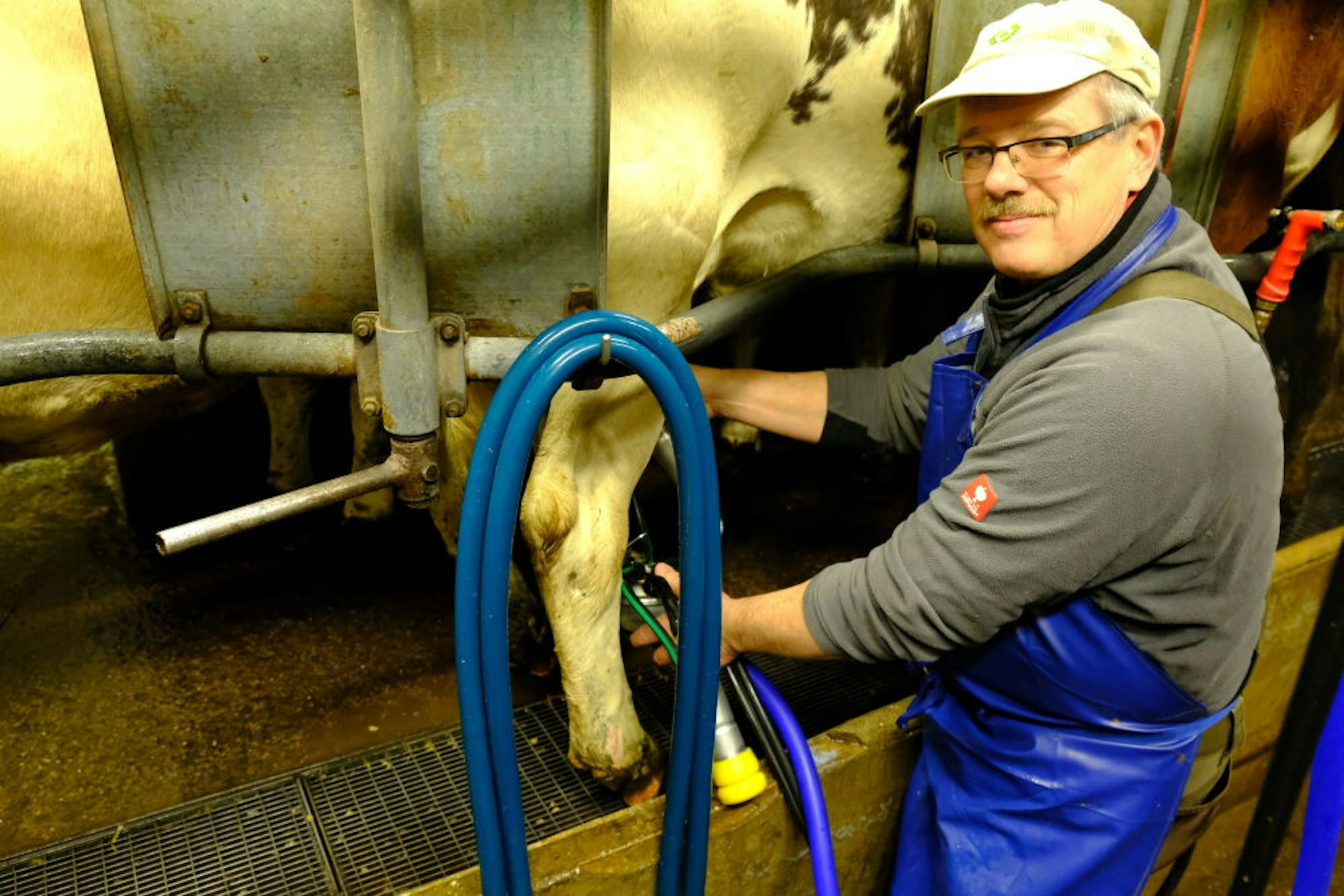 Die Bio-Milch von Andreas Gentz aus Keldenich erzielt zwar einen höheren Preis – kostendeckend kann aber auch er nicht arbeiten.