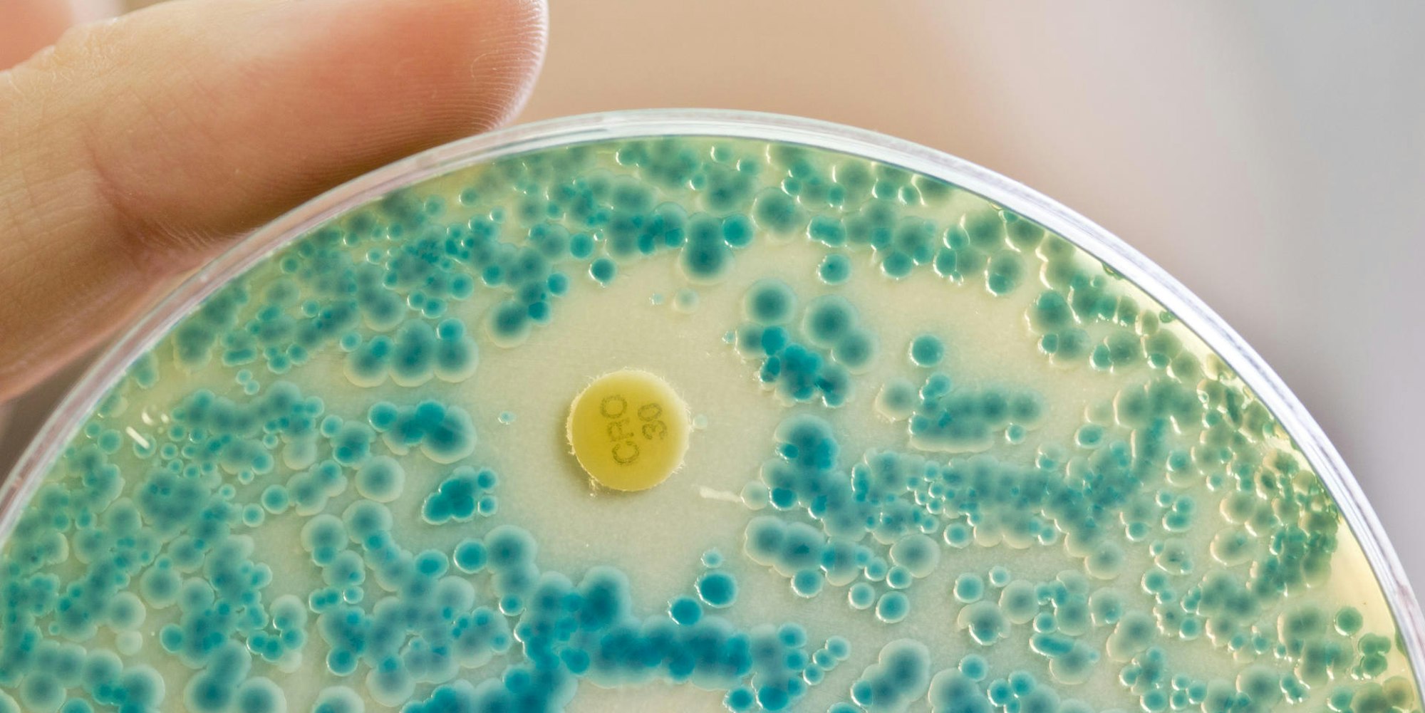 Antibiotika resistente Keime Symbolbild
