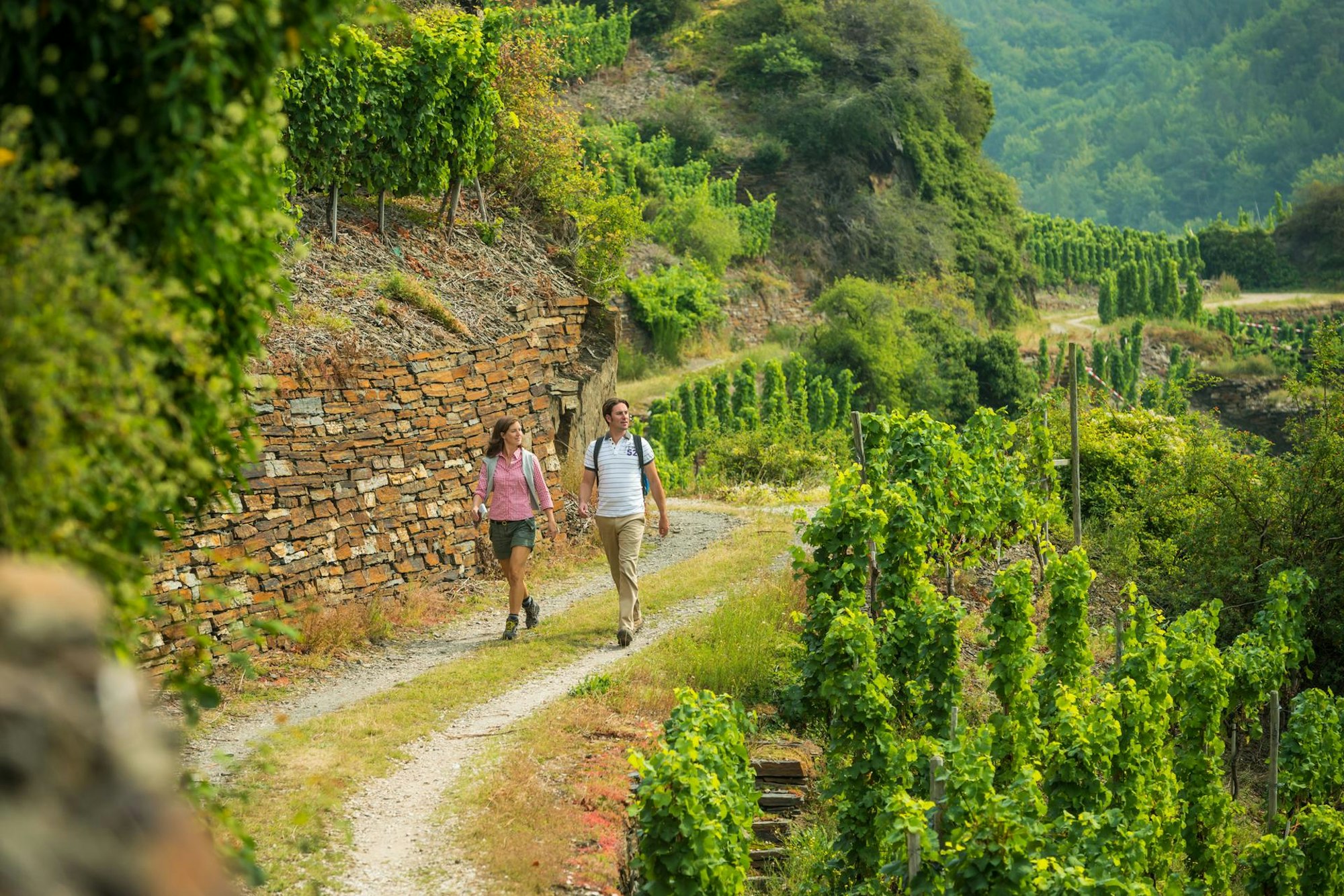 Wanderung auf dem Rotweinwanderweg © Dominik Ketz_Ahrtal-Tourismus