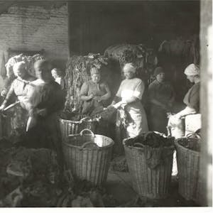 Lumpensortiererinnen bei der Arbeit. Lange Zeit waren alte Textilien der wichtigste Rohstoff für die Papierherstellung.