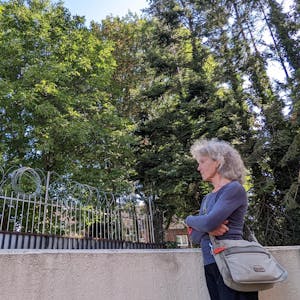 Einige alte Bäume stehen auf dem Gelände des alten Rathauses. Grünen-Ratsfrau Inge Cürten-Noack will sie erhalten.