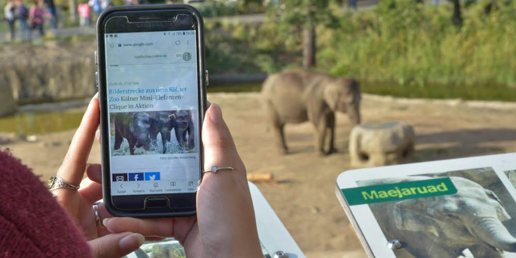 Zoo-Besucher können sich ins kostenlose Wlan einloggen und zum Beispiel Geschichten über die Elefanten nachlesen.