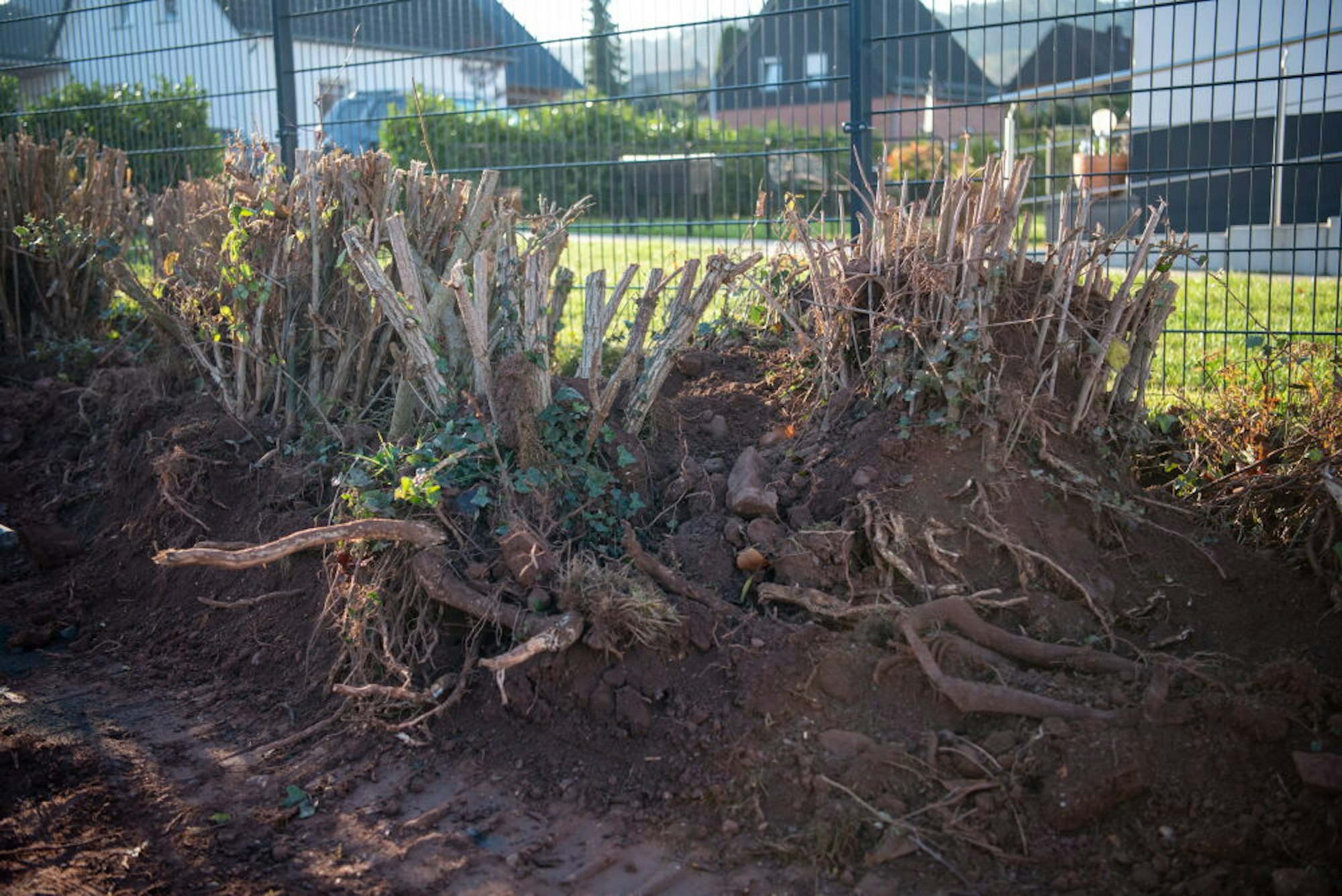 Die Sträucher auf dem Spielplatz an der Pützgasse wurden ausgegraben, sie sollen von belasteter Erde befreit wieder eingepflanzt werden.