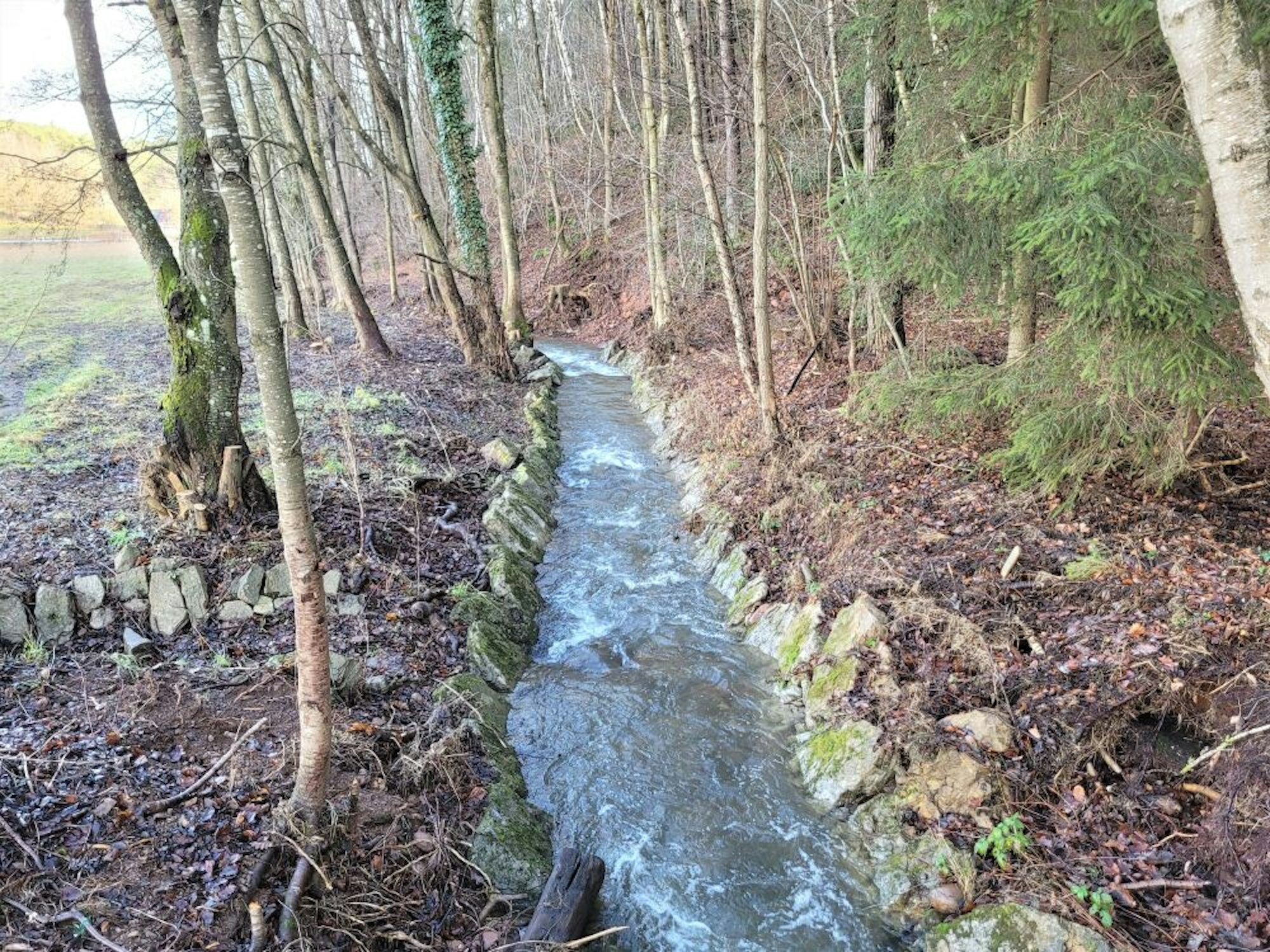 Der Uferbereich des Kallbachs  wurde von Bäumen und Ästen befreit, die den Wasserabfluss behinderten.