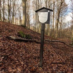 Rund um die Aldeburg stehen neue Schilder, die auf die Verhaltensordnung im Naturschutzgebiet hinweisen.