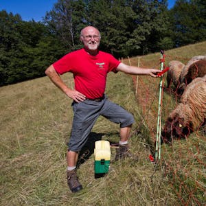 Mit diesen Zäunen möchte Bio-Bauer Peter Schmidt seine Bergschafe, eine heute seltene Rasse, vor dem Wolf schützen.