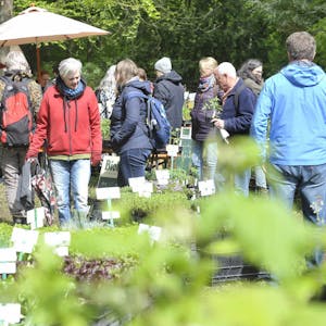 120 Pflanzen aus biologischem Anbau bot allein Biogärtner Vinken bei der Biogartenmesse am Türnicher Schloss an.