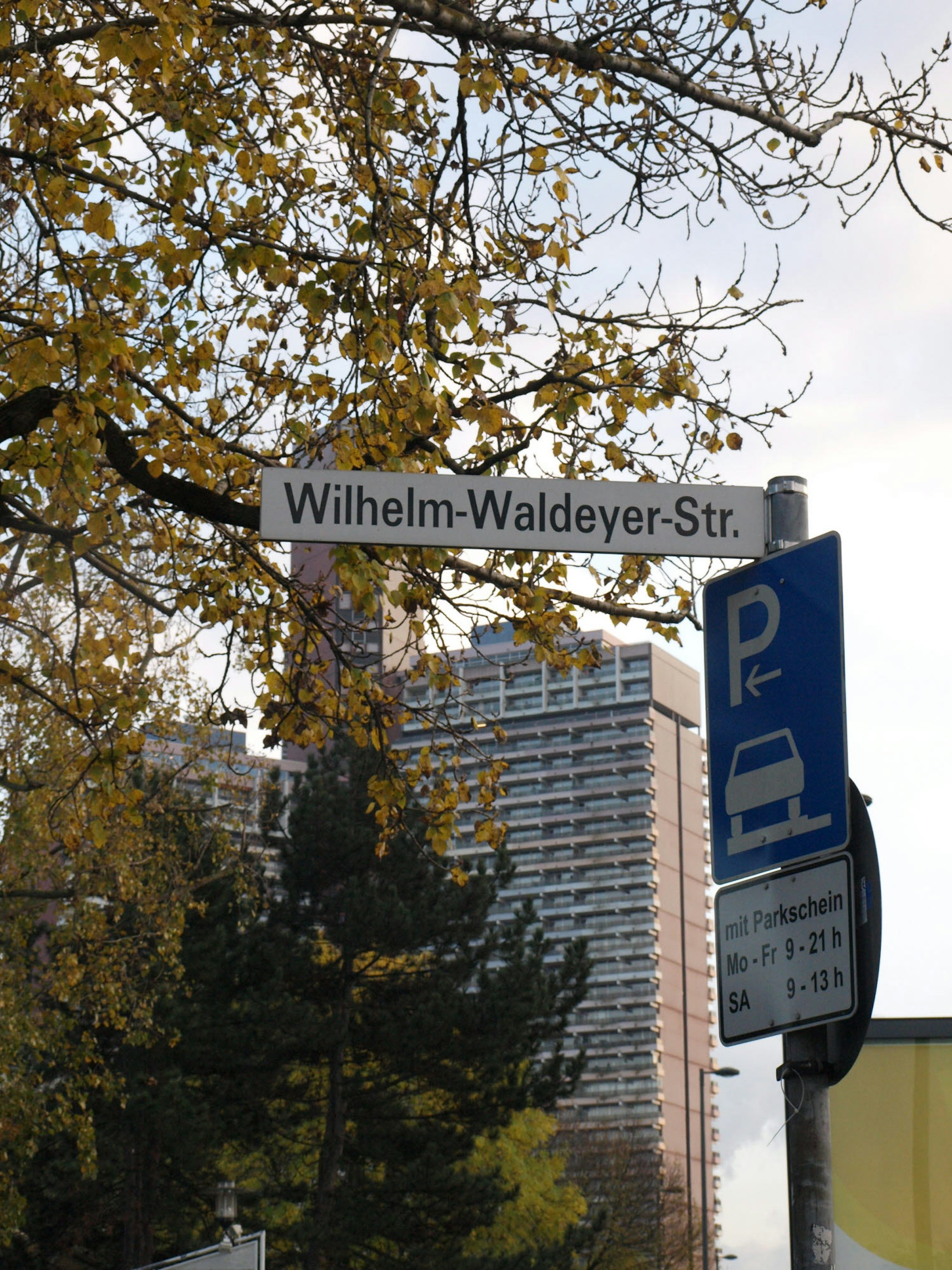 Nach Wilhelm Waldeyer, dem Mediziner und Spezialisten für Anatomie, ist eine kleine Straße benannt, die von der Universitätsstraße abgeht und in die Zülpicher mündet.