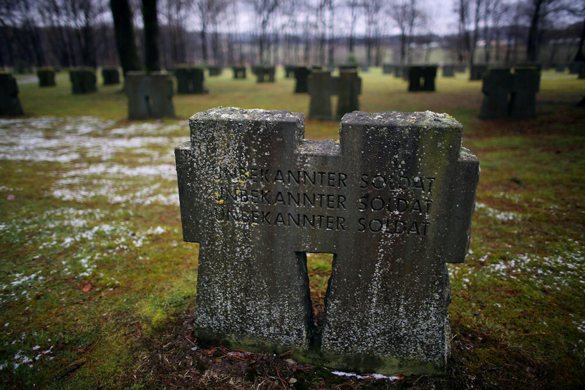 Bei den Kämpfen im Hürtgenwald wurden fast alle Sprachmittler-Soldaten getötet, verwundet oder als vermisst gemeldet.