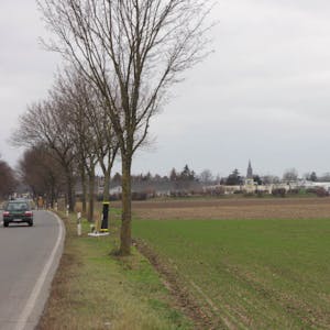Wenn man von Blatzheim aus auf Buir zufährt, liegt das geplante Gewerbegebiet rechts neben dem Einkaufszentrum.
