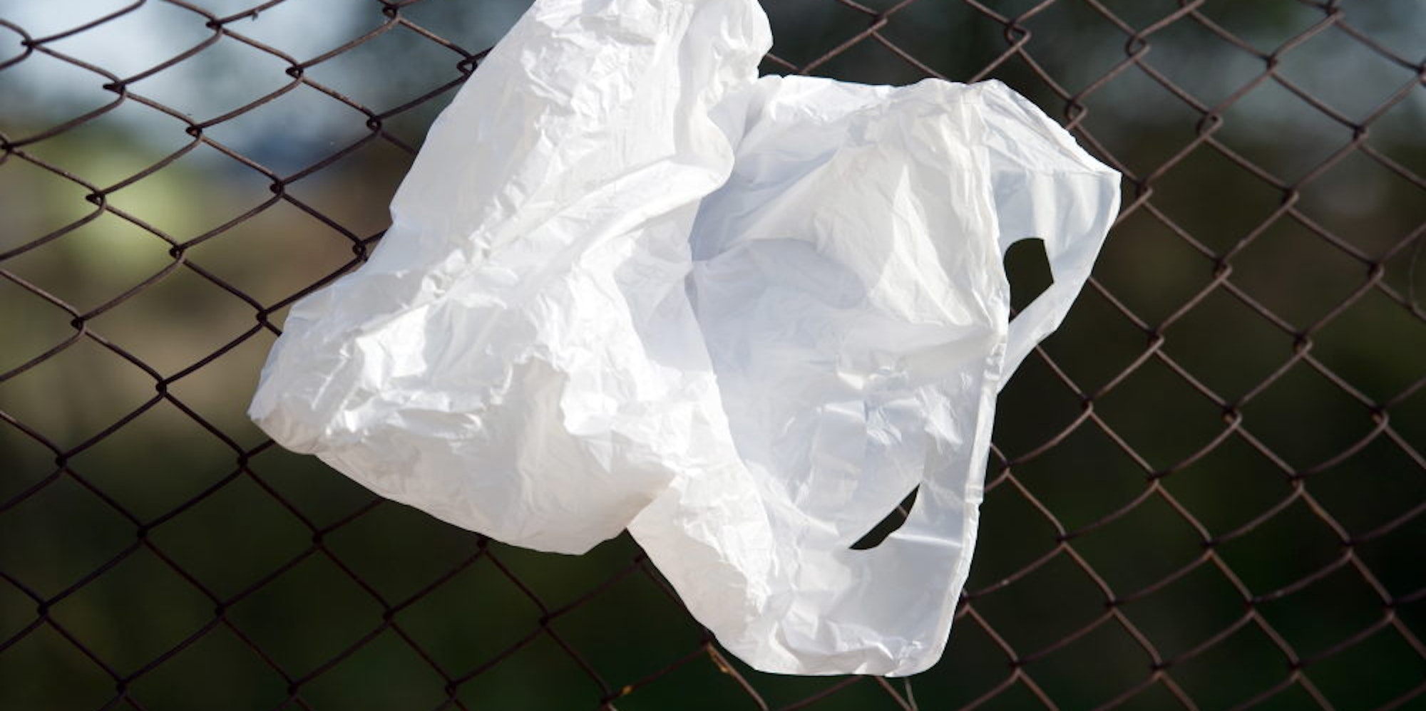 Völlig vermeiden sollten Verbraucher möglichst die Plastiktüten, in denen Lebensmittel verkauft werden. Stattdessen kann man Netze oder Stofftüten verwenden.