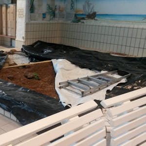 Die Umbauarbeiten im Bad haben angefangen. Der Badepilz (l.) ist Vergangenheit