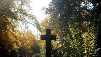 Der Friedhof Melaten verbindet Natur und Grabkultur auf 435.000 Quadratmetern Fläche.