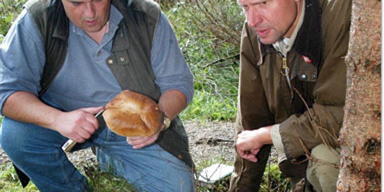 Der Gemeindeförster Dietmar Krumpen (l.)und der Forstbeamte Egbert Reinhard begegnen derzeit vielen Pilzsammlern im Wald.
