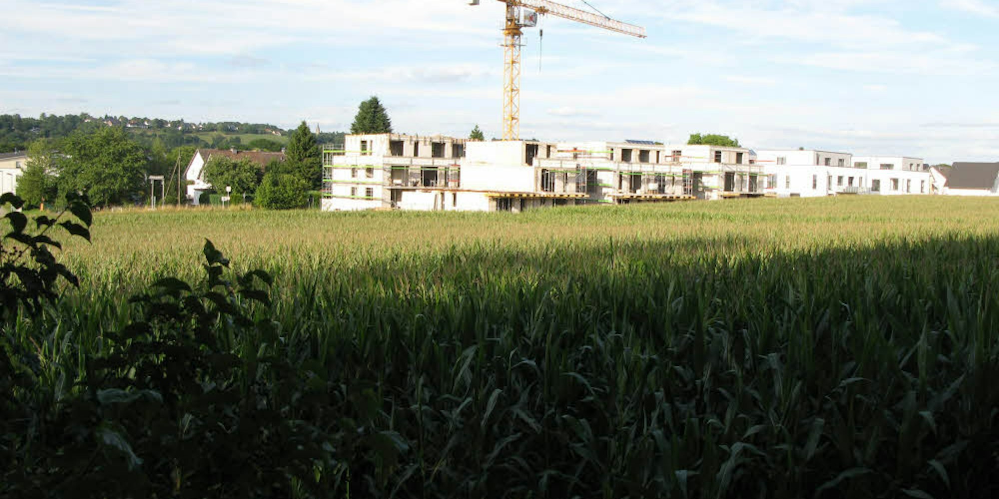 An der Blankenberger Straße werden derzeit diese Neubauten hochgezogen. Auf den noch landwirtschaftlich genutzten Flächen sollen unter anderem 40 Doppelhaushälften entstehen.