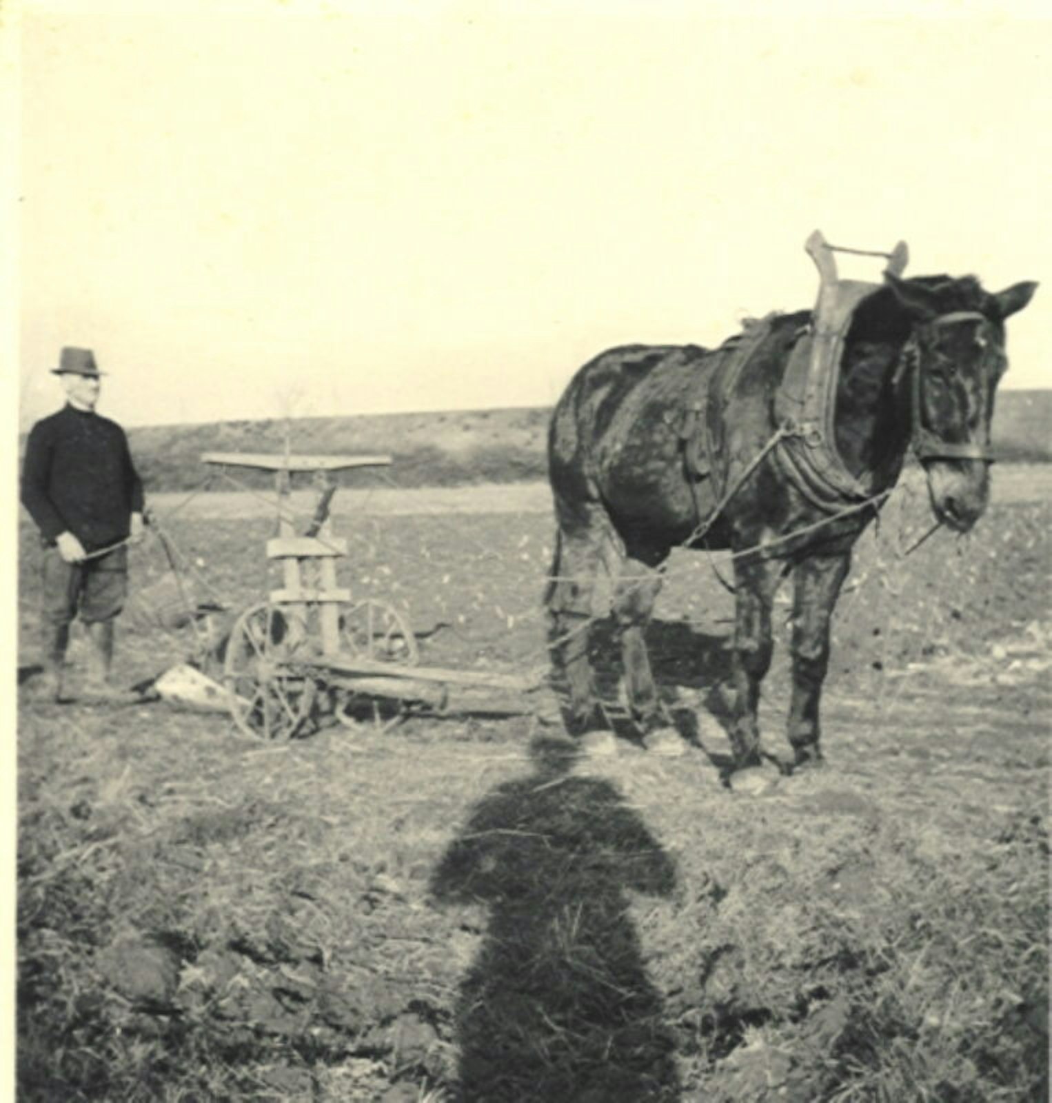 Mit dem Pferdepflug hatte Johann Esser vor 100 Jahren die Äcker für den Kartoffelanbau bestellt.