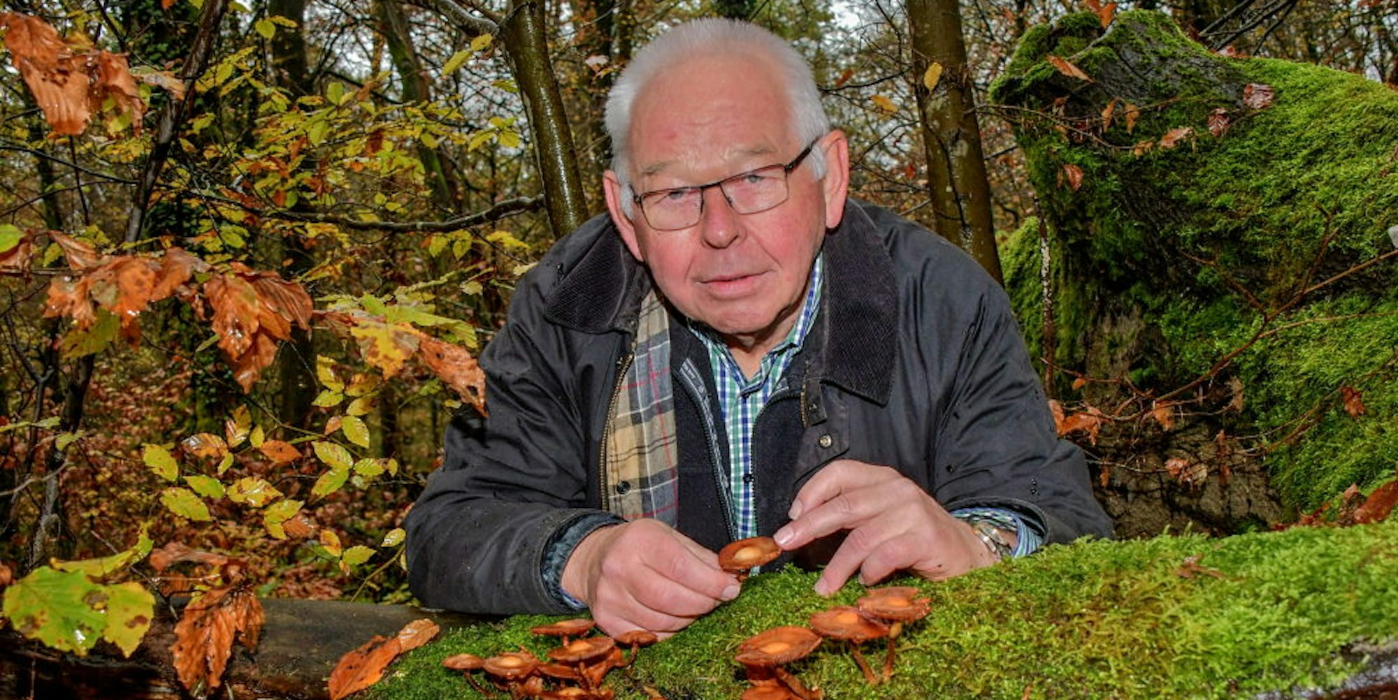 Erkennt ein „Echtes Stockschwämmchen“ sofort: der Pilzexperte Harald Homa aus Nümbrecht.