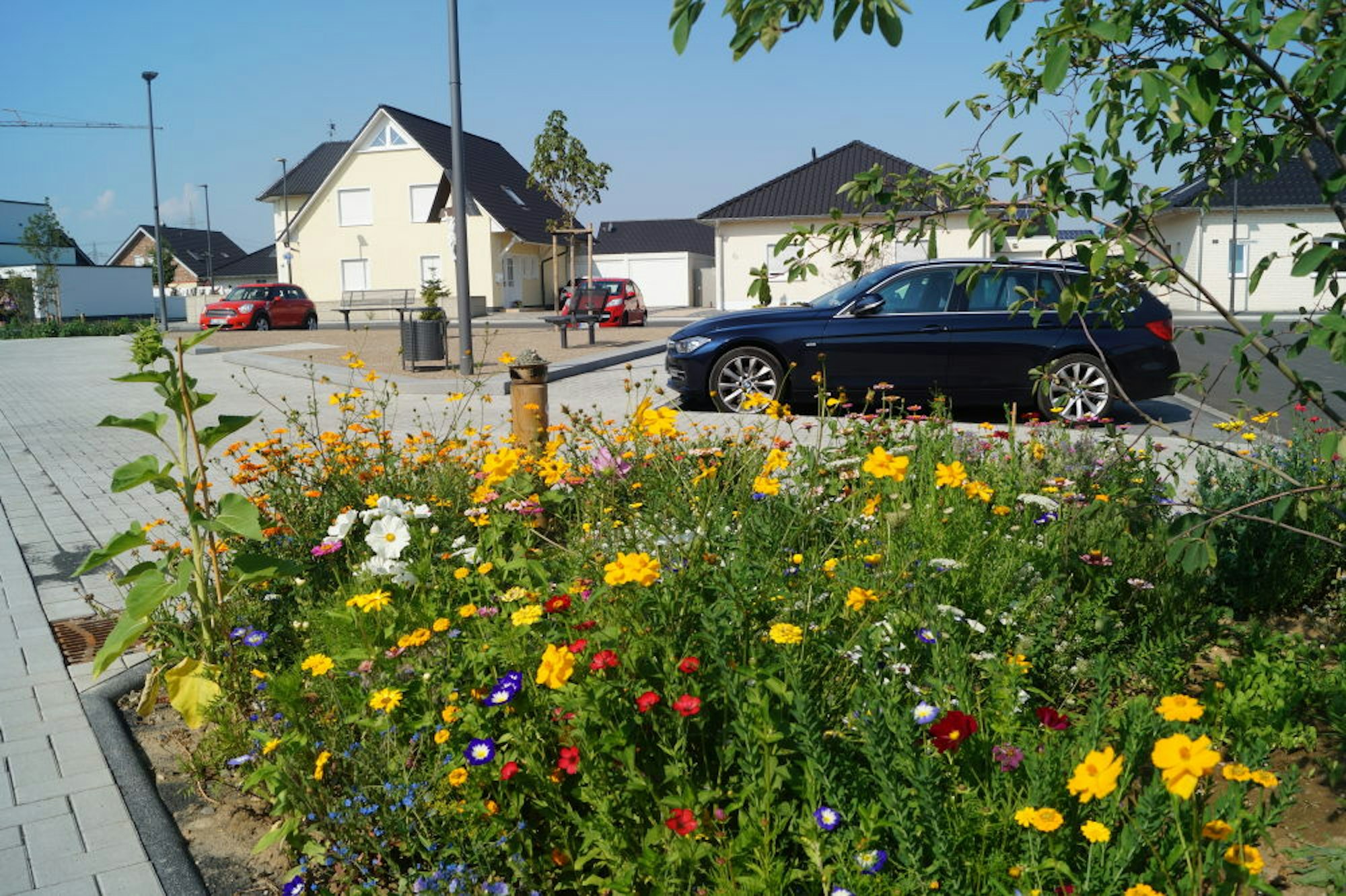 Auch bunte Blumenbeete gibt es - neben versiegelten Flächen - in Manheim-neu. Der Grünanteil sei wegen der relativ großen Baugrundstücke größer als anderswo, heißt es.