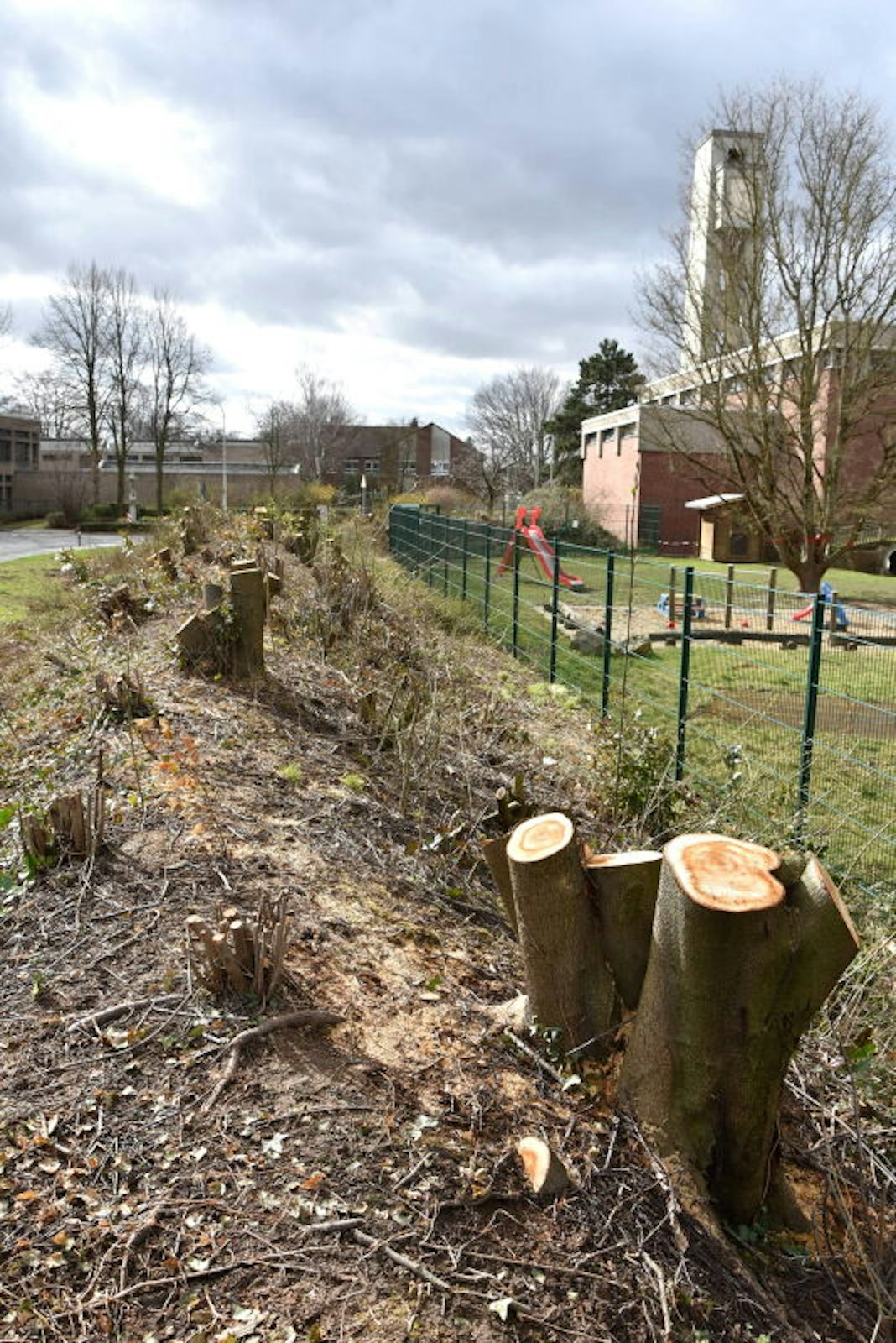 Auch am Hohlweg wurden Sträucher und Bäume abgeschnitten. Die Grünen fordern die Einrichtung eines Arbeitskreises zum Thema.
