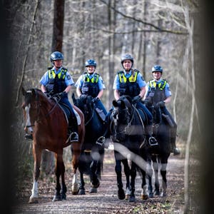 Vier Polizistinnen machten sich auf ihren Dienstpferden um 15 Uhr auf den Weg in den Billiger Wald.