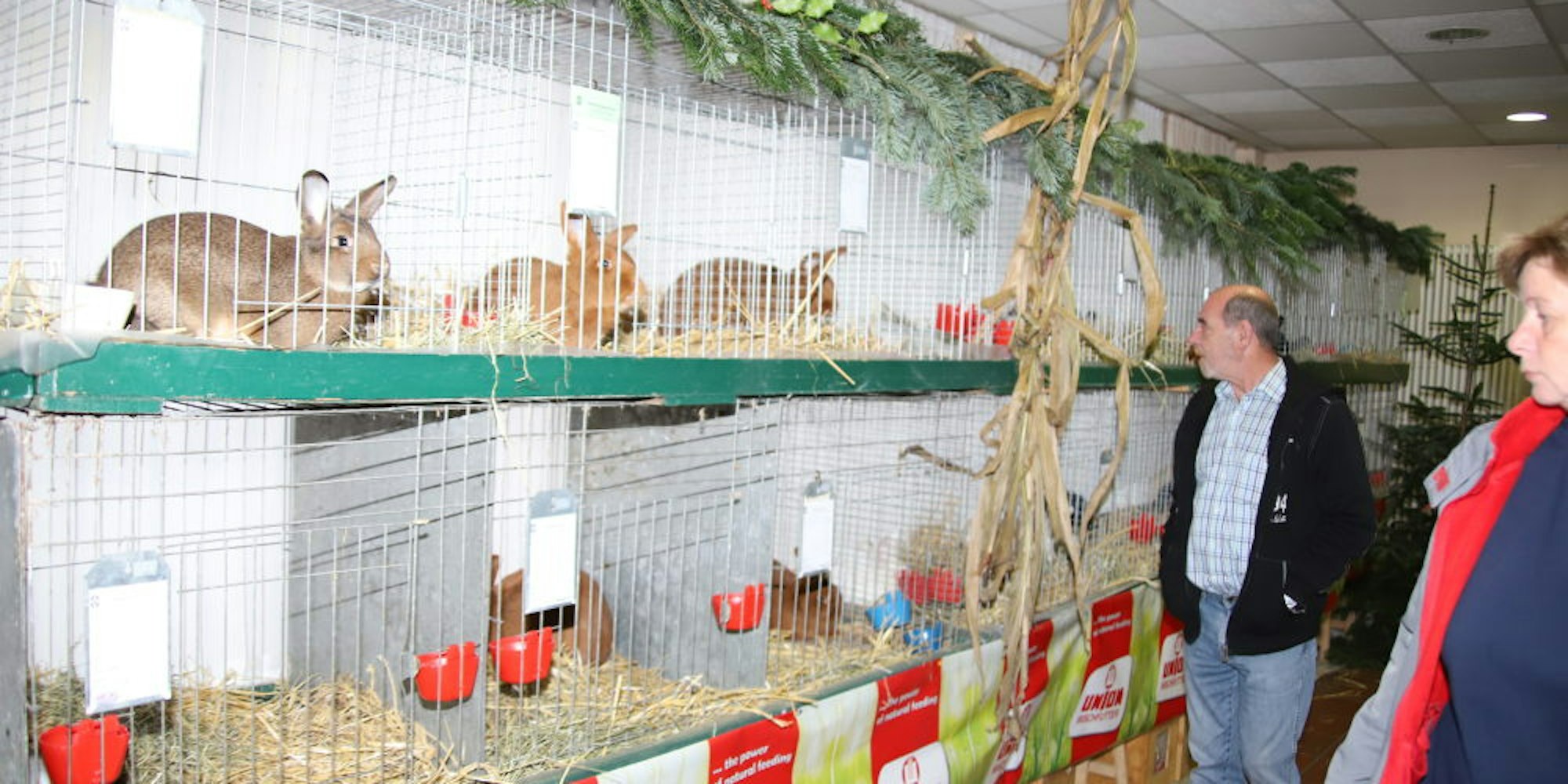 Im Bürgerzentrum konnten sich die Besucher die prämierten Kaninchen anschauen und auch kaufen.