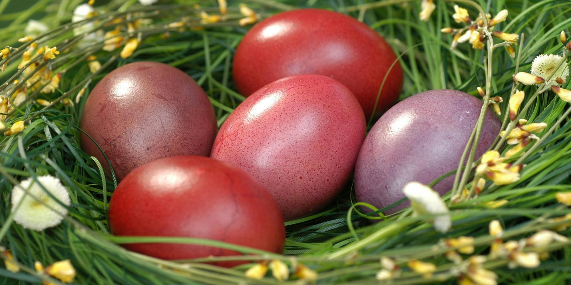 natürlich gefärbte eier
