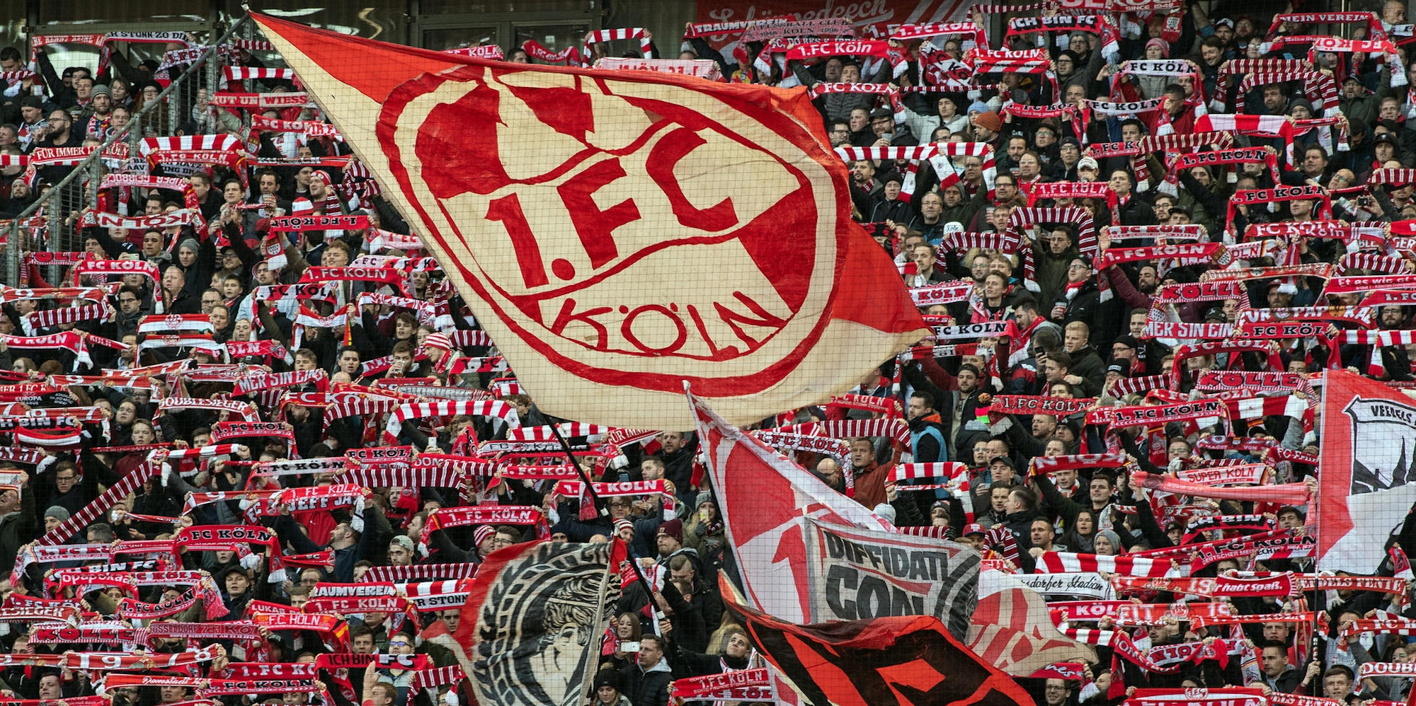 1. FC Köln_Fans