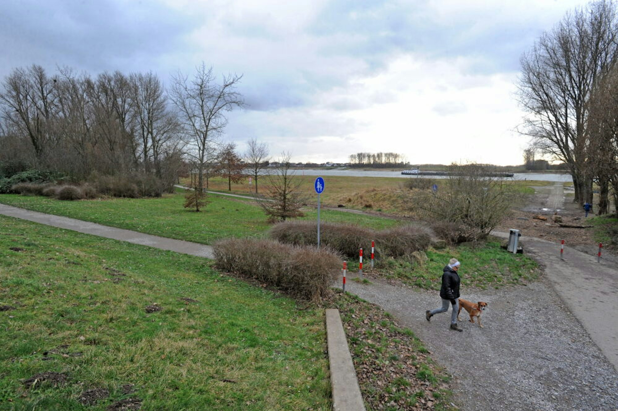 In Hitdorf wird der Wiesenbereich südlich im Anschluss an das Hafenbecken als Hundespielplatz vorgeschlagen.
