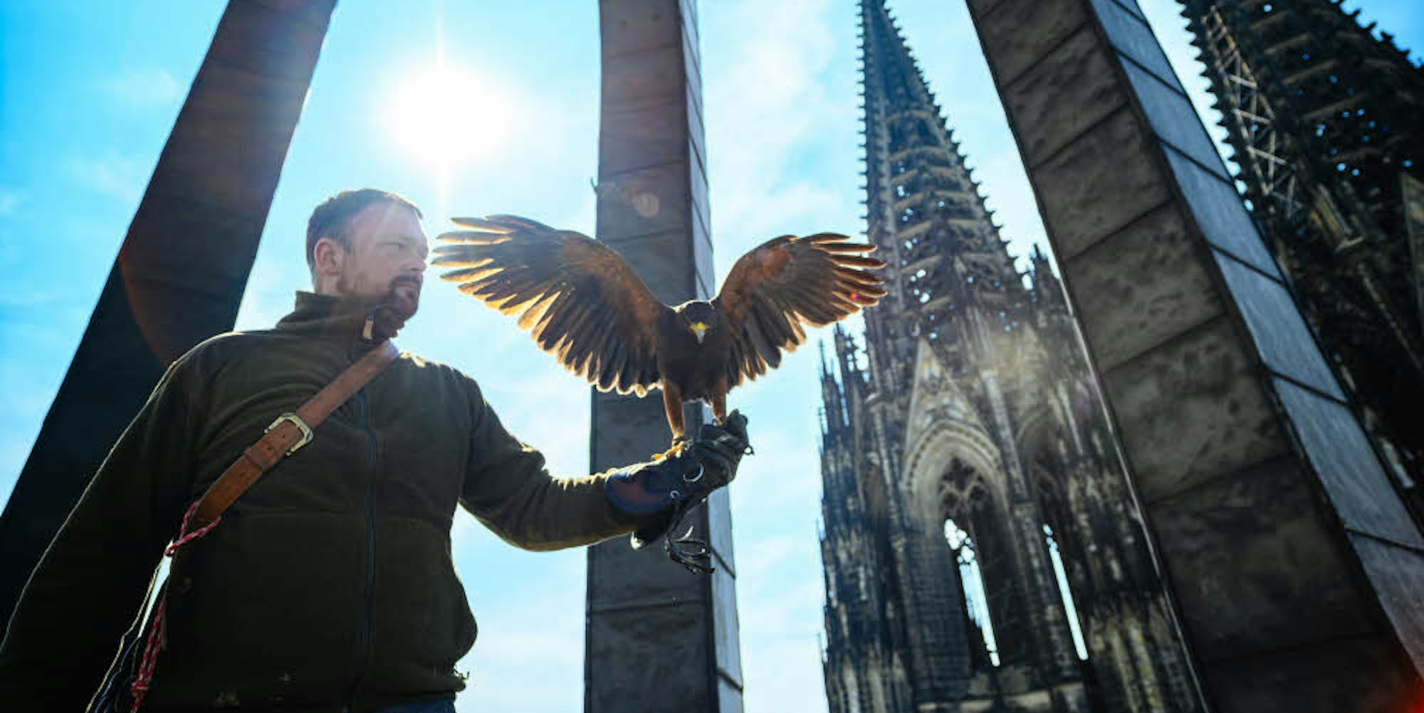 Mit seinen Greifvögeln ist Marco Wahl auch am Kölner Dom im Einsatz, um die Tauben zu verjagen.